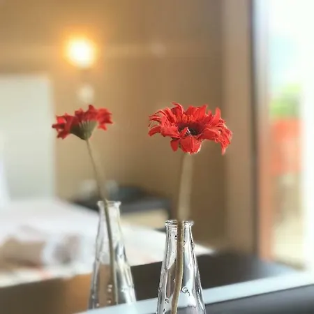 Appartement Summer Dreams Skala Potamia (Thasos)