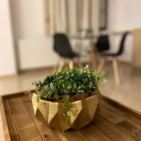 Summer Dreams * سكالا بوتامياس