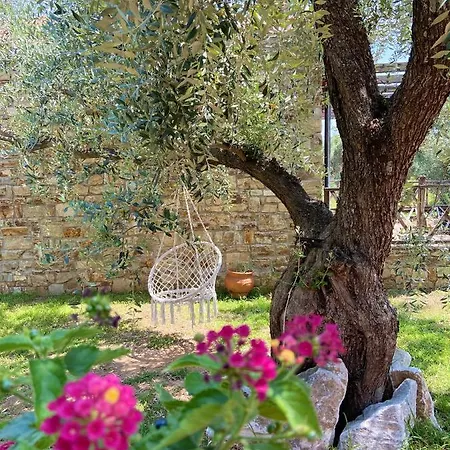 Διαμέρισμα Summer Dreams *