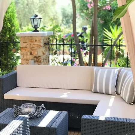 Summer Dreams * سكالا بوتامياس