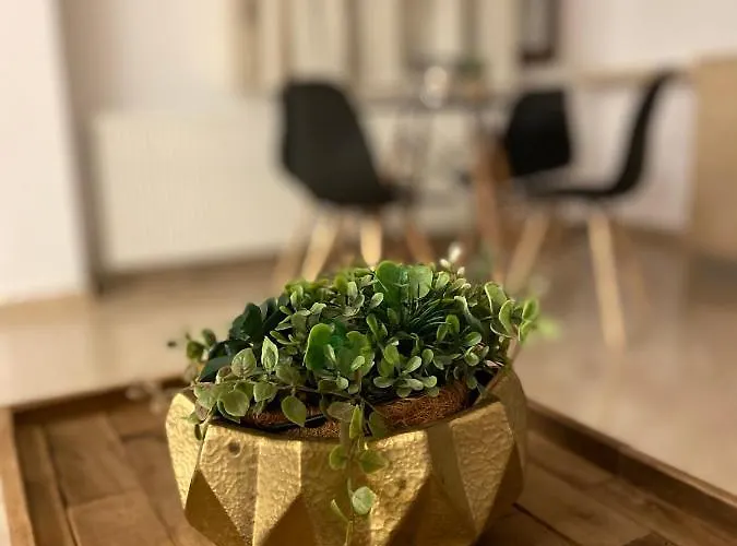 Summer Dreams * سكالا بوتامياس