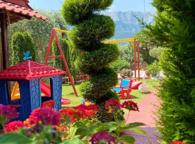 Summer Dreams سكالا بوتامياس