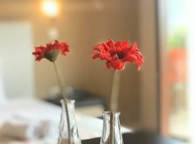 شقة Summer Dreams سكالا بوتامياس